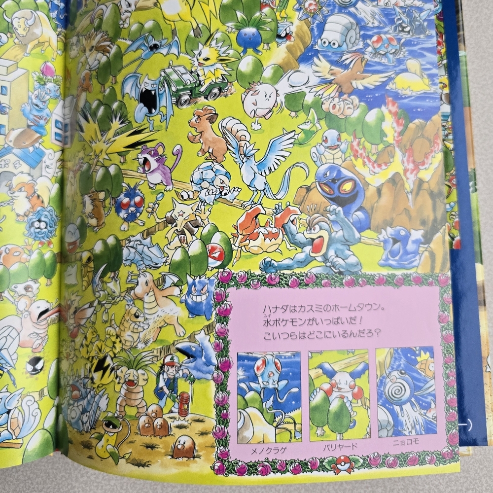 π Pokemon Search Book - Picture 4 of 7